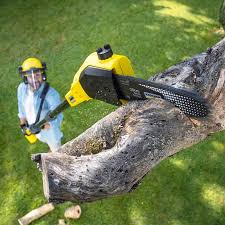 Best Leaf Removal  in Margate City, NJ